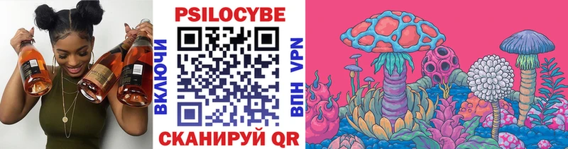 кракен как зайти  Полярные Зори  Галлюциногенные грибы MAGIC MUSHROOMS 