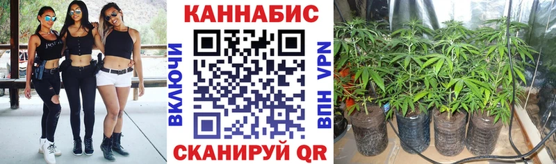 МАРИХУАНА сатива продажа наркотиков Полярные Зори